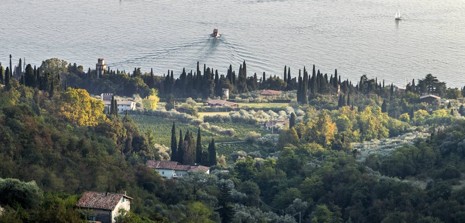 Vigneti e cipressi della sottozona di La Rocca sopra il Lago di Garda