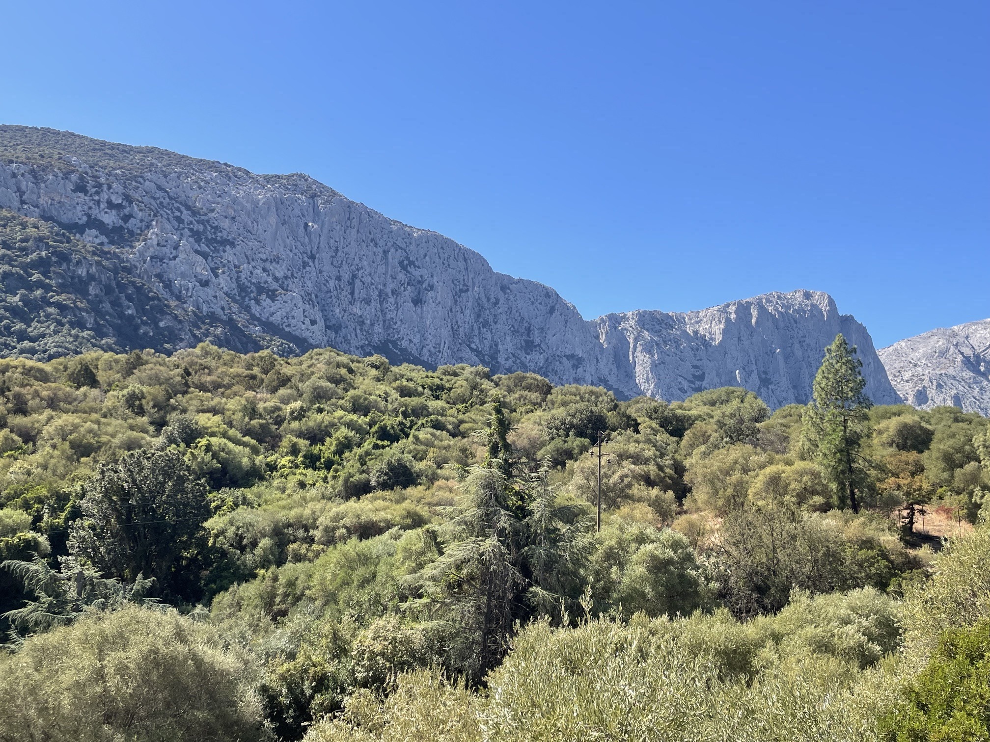 view from a hotel terrace